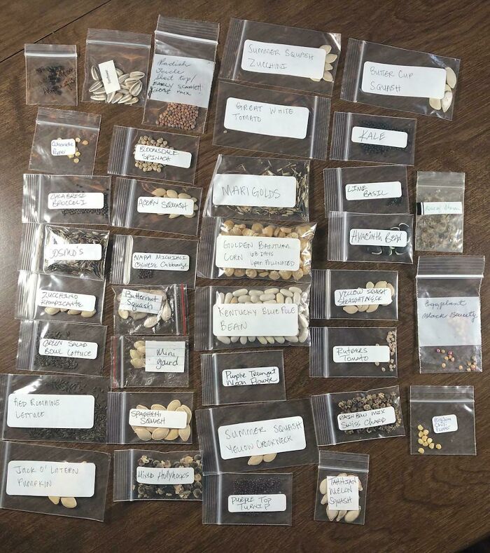 外国网友分享的风景,国外网友分享的风景