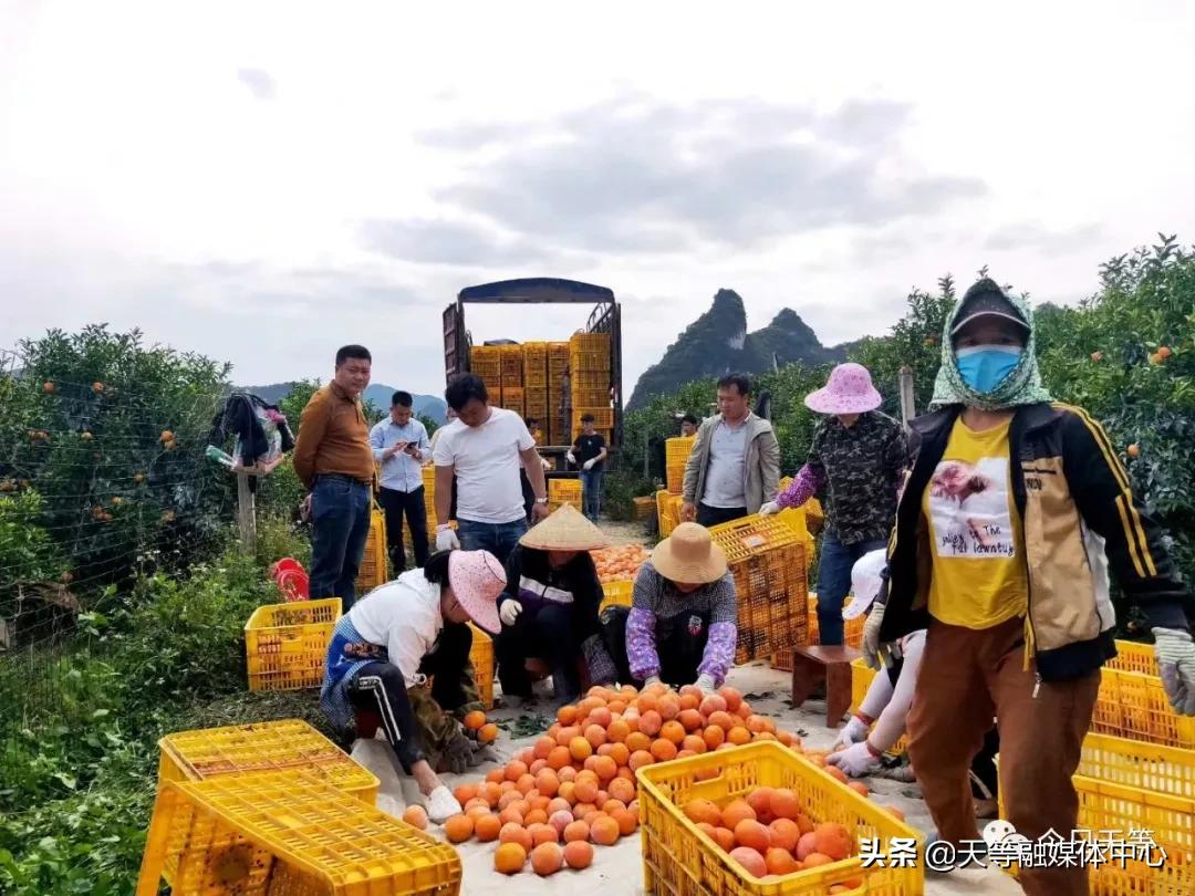 天等抢劫,天等抢钱案