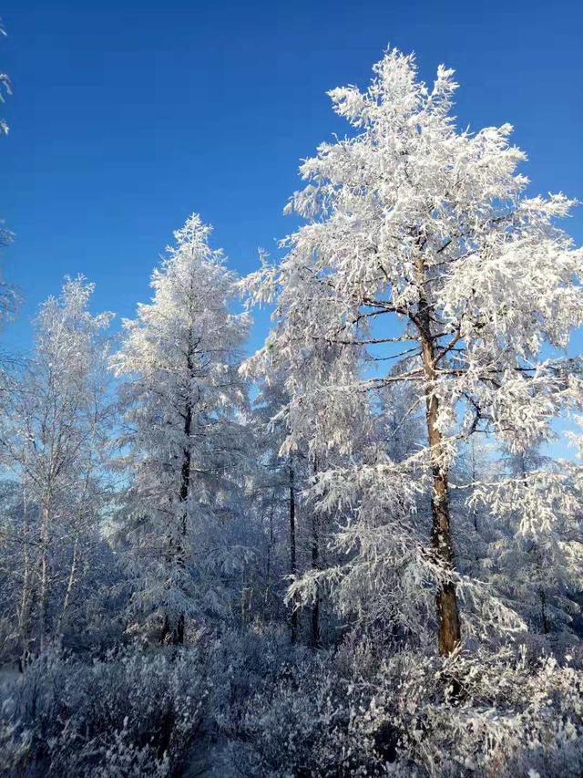 甘肃广电网络:疫情防控,有线电视这些常见故障可轻松搞定