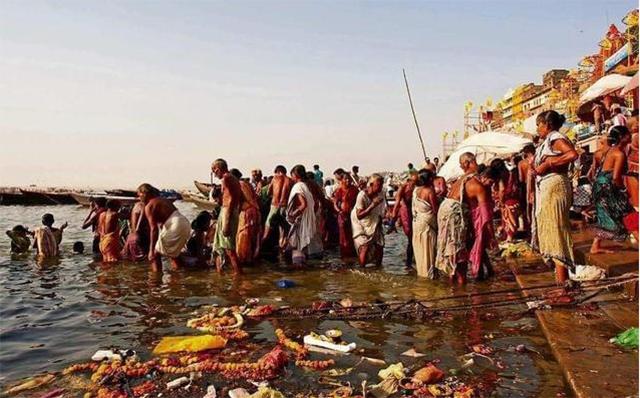 印度掏粪工死于什么病,印度掏粪工死亡率