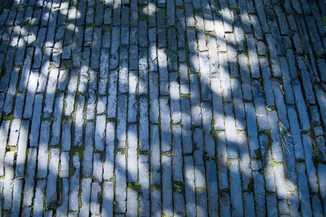 18首经典的哲理诗词,最高人生哲理诗词十首