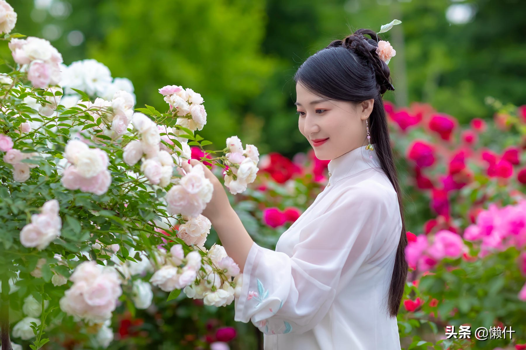 什么是顶级文笔,到底什么是文笔