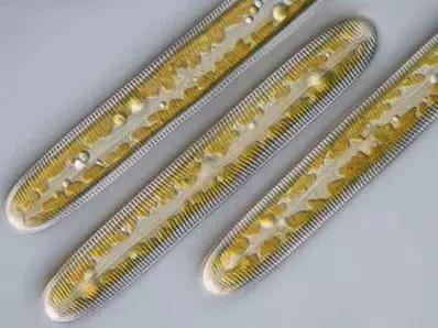 水产养殖业藻类的生命周期,水产养殖常见藻类植物