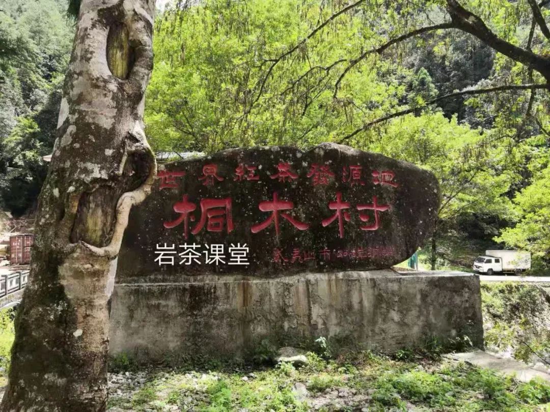 金骏眉茶外观什么样的好,正宗的金骏眉什么颜色