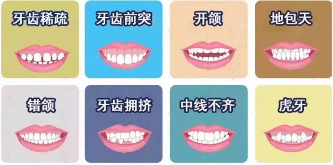 为什么医生不建议牙齿矫正呢,为什么医生不建议矫正牙