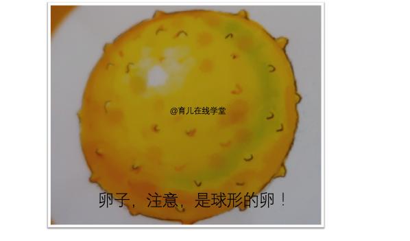 如何预防卵巢早衰和月经不调,卵巢早衰不来月经了怎么保养卵巢