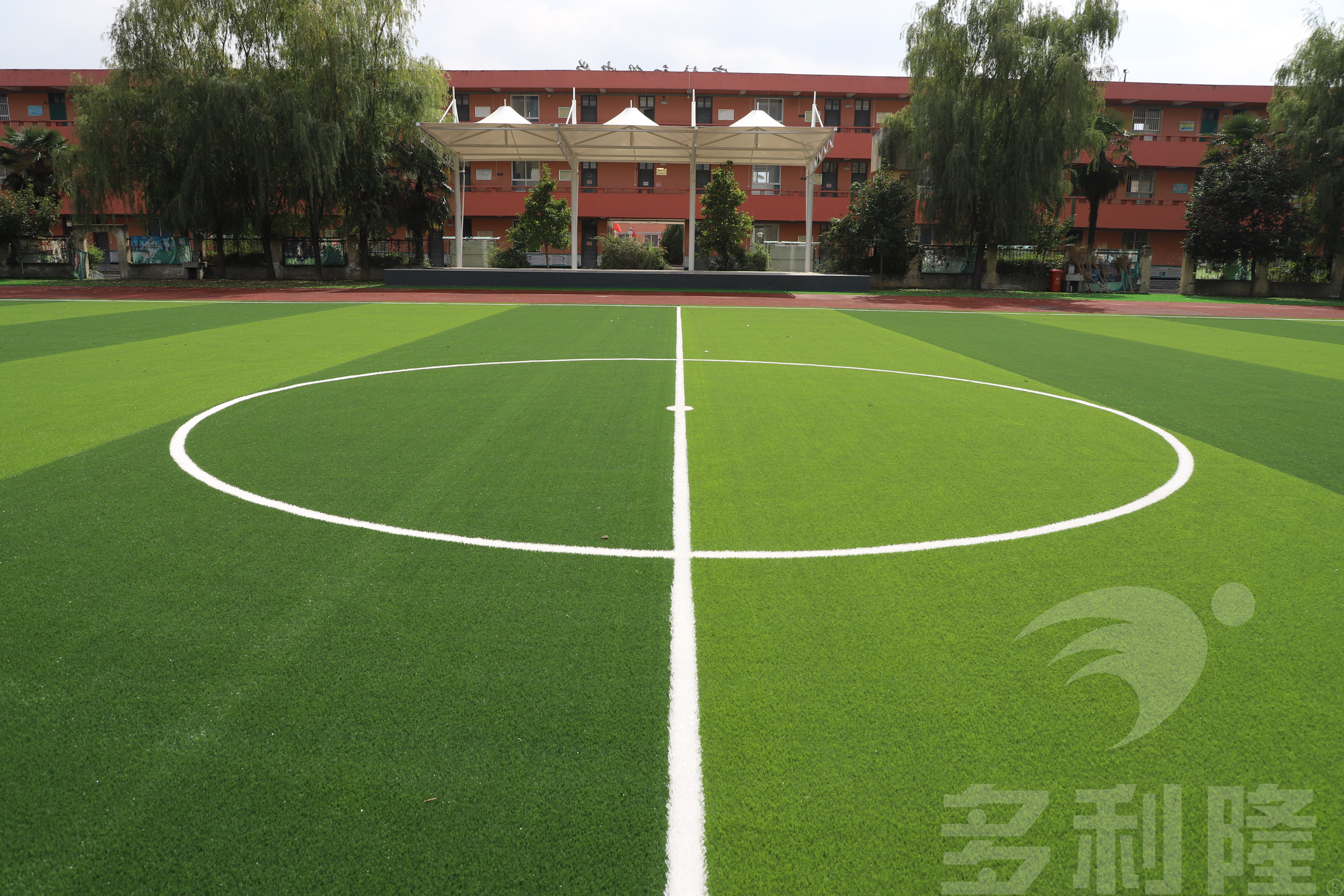 多利隆免填充人造草坪的价格,蓝田县多利隆草坪厂