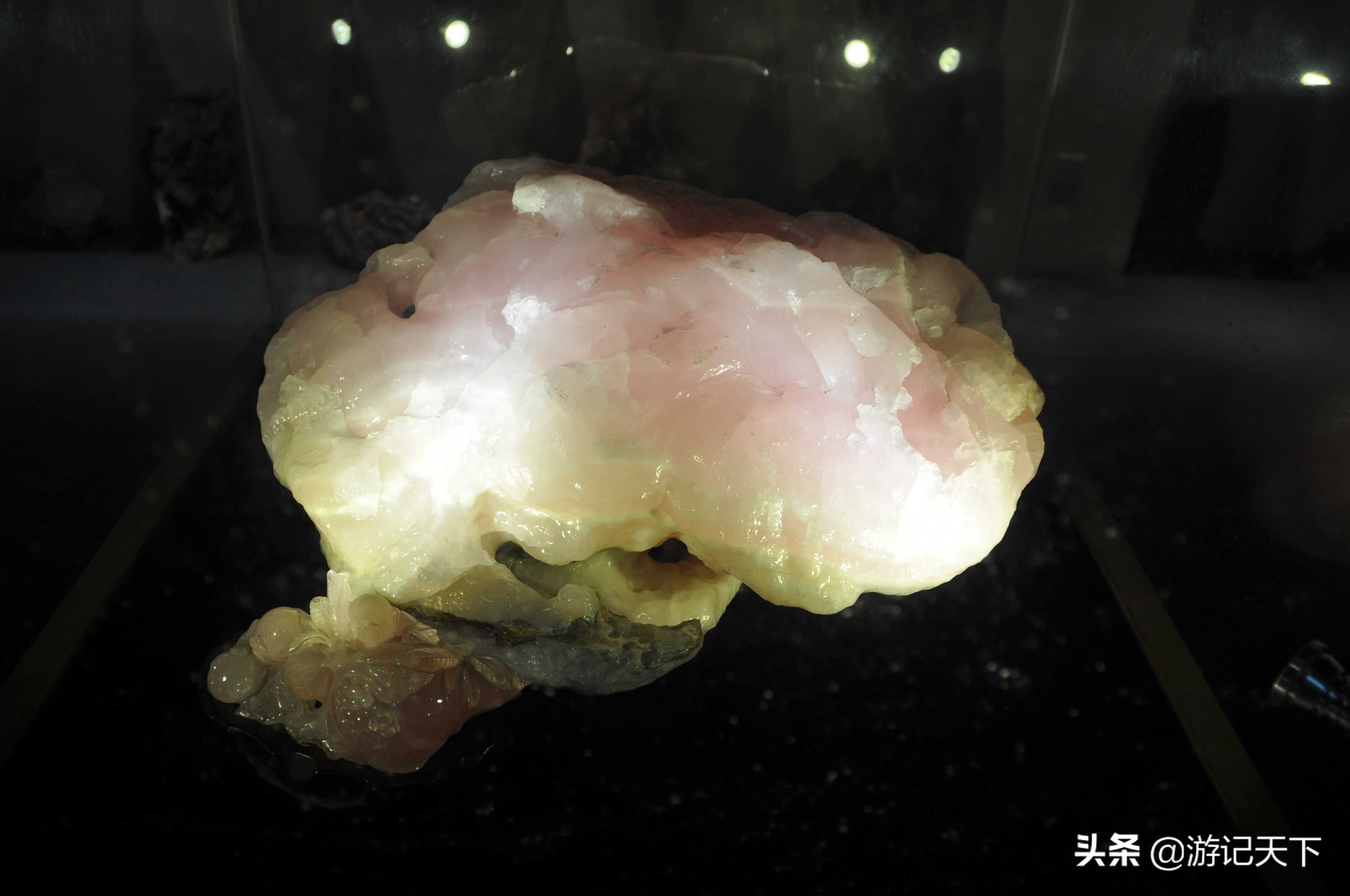 参观上海东方地质科普馆,上海东方地质科普馆需要预约吗