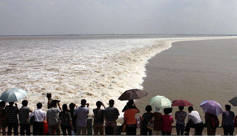 杭州电子商务示范区,杭州电子商务产业园