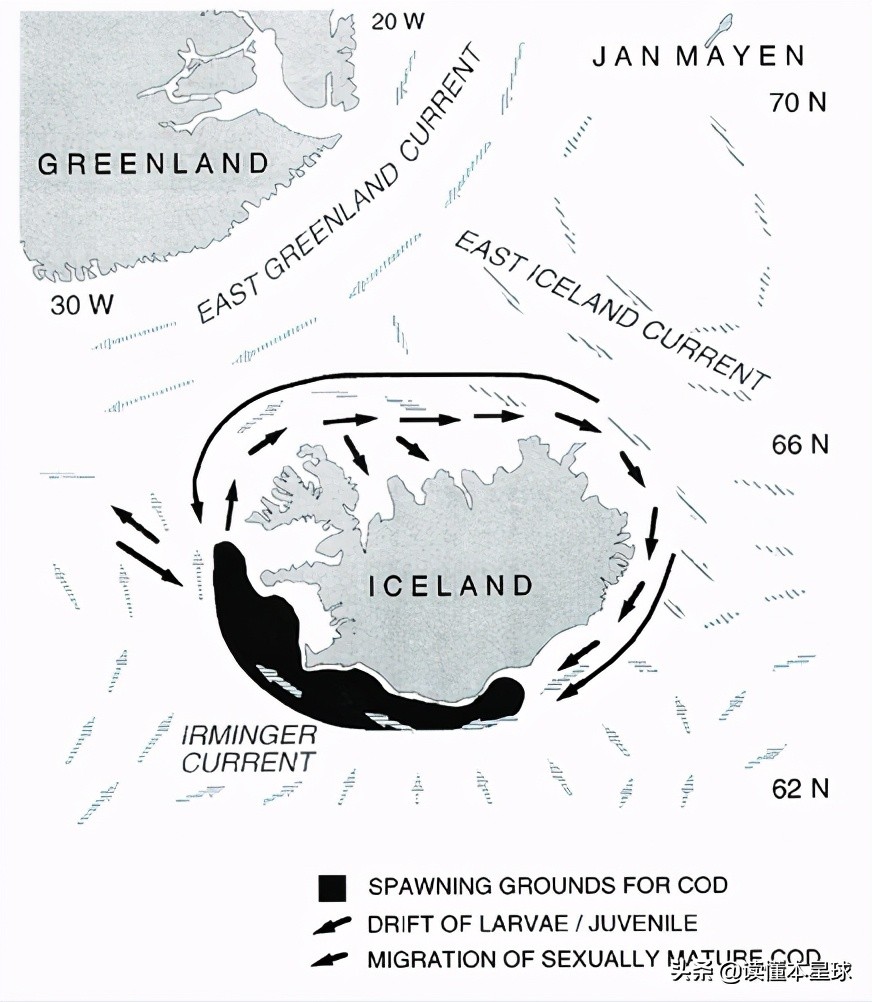 鳕鱼战争是怎么回事,英国和冰岛之间的鳕鱼战争