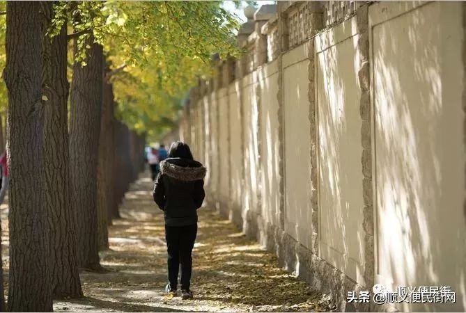 顺义区免费景点排行榜冬天,顺义最良心的八大免费景点