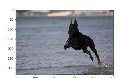 神经网络开源数据集,神经网络与深度学习开源