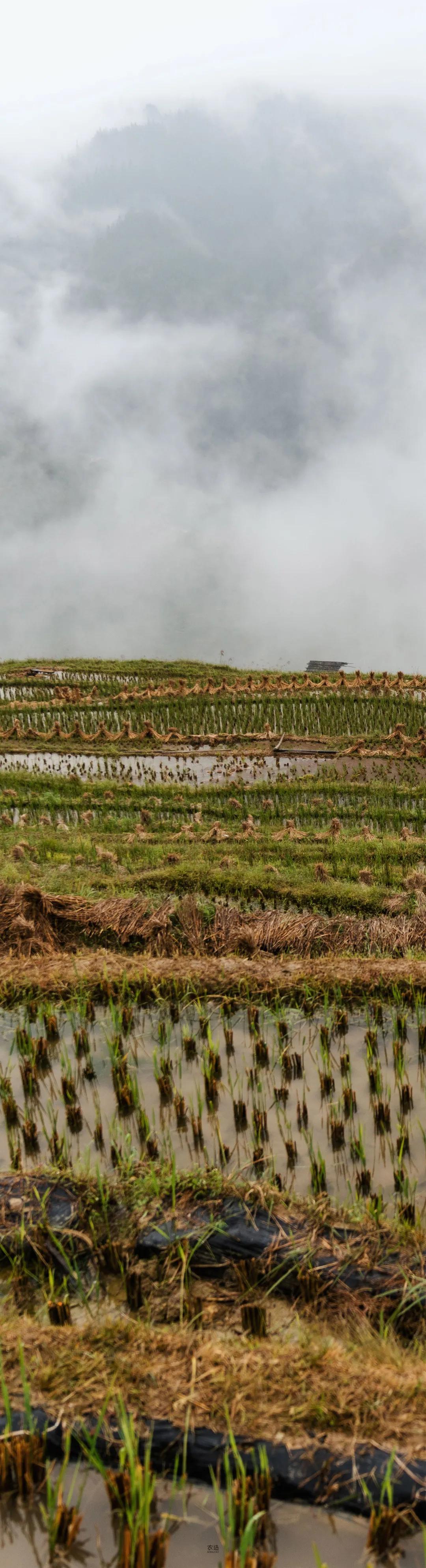 农造田野丨总有一根神经通往乡野|月亮山百里梯田