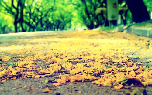 职场上，年轻人到底该不该低头和认怂？看完吓我一跳！