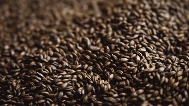 国内较好的麦芽品牌,单一麦芽三大品牌