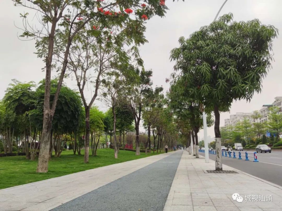 汕头金砂东路品质提升改造,汕头金砂东路改造规划图