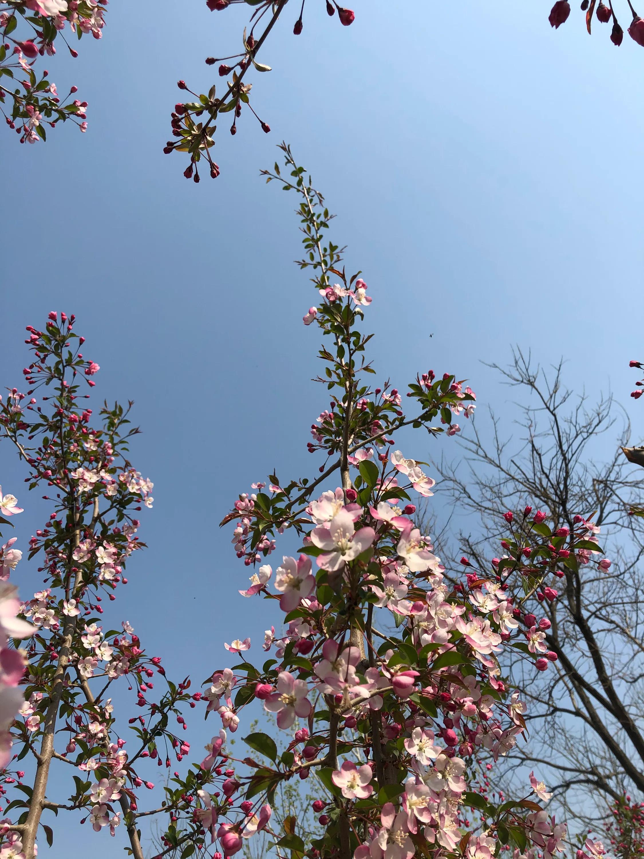 考研必备考点,考研知识点学不明白怎么办