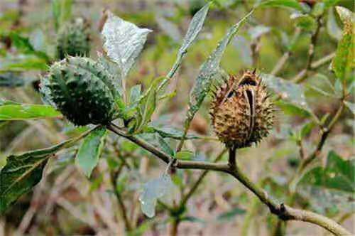 配送中心管理制度全套,配送中心规划与管理课程