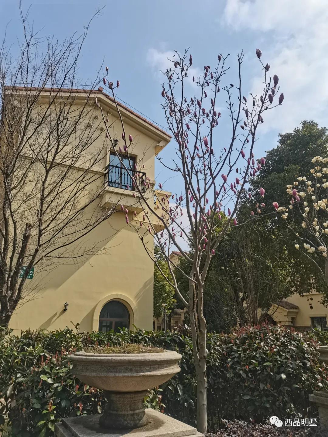 青浦3万以下新楼盘,青浦新楼盘叠墅