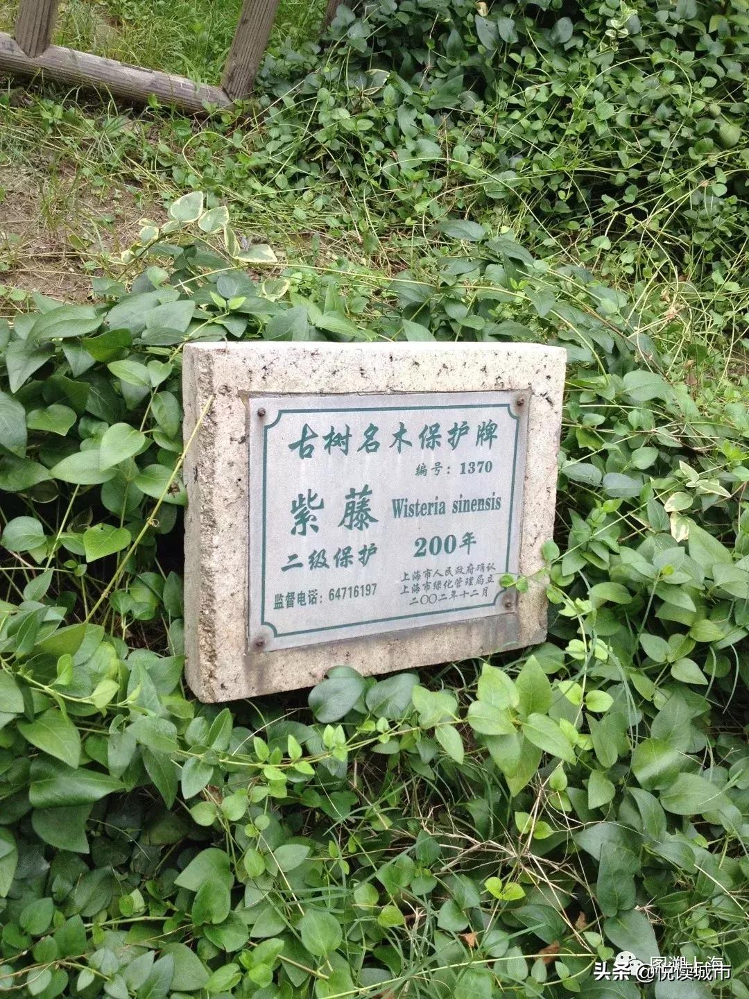 悦读城市浦东,悦读城市上海