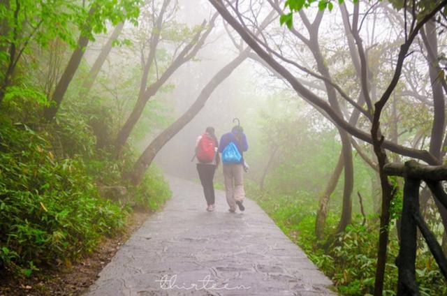 天门山森林公园和张家界森林公园,张家界天门山一日游最佳路线