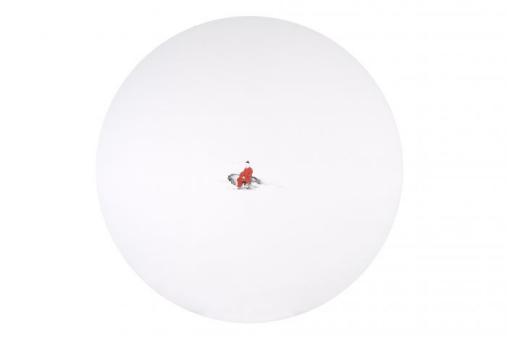 wonderland的仙境之夜曾黎现场,wonderland的仙境之夜曾黎