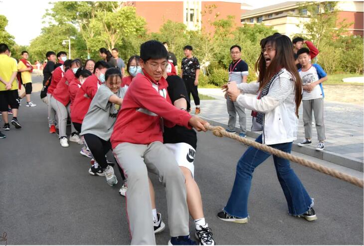 趣味运动会一起燃烧卡路里,趣味运动会运动添活力