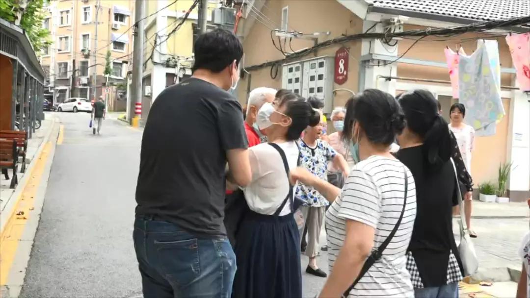 小猫被箭射伤后续,小猫被打伤了腿