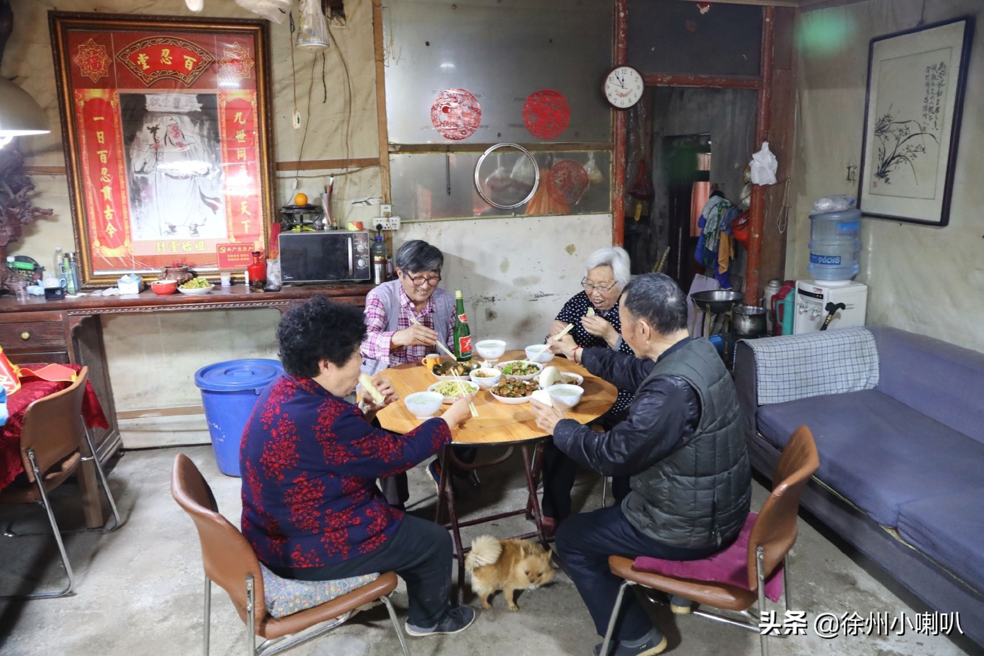 一起养花一起开心一起变老,一起养花种草分享美好