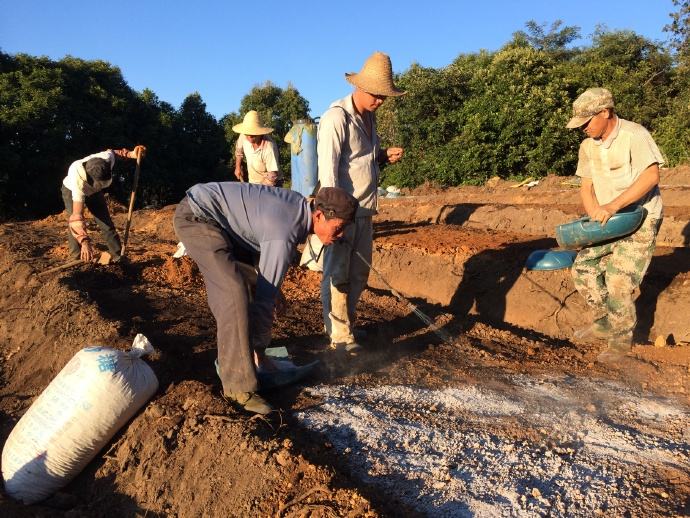 肥效明显，深受农家人的喜爱的草木灰，使用时要注意什么？