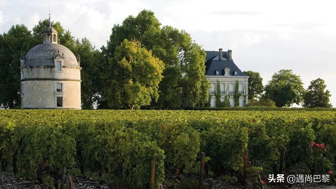 奢侈名酒葡萄酒,奢侈级别红酒