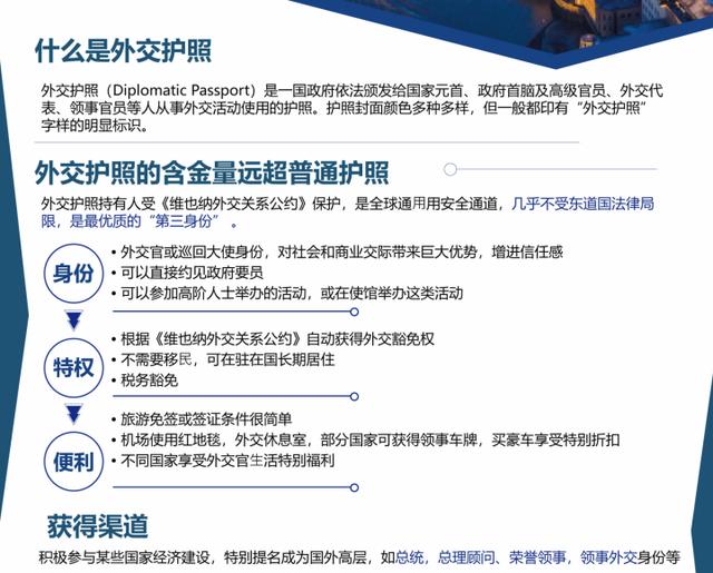 20万美元能买什么样的护照,10万美金国际护照