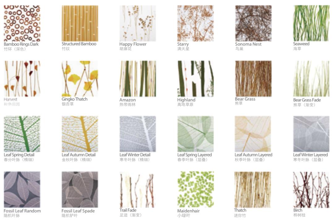 卡乐板图片,什么是卡乐板