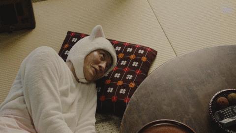 那个孤独的美食家，改行做了猫界家政妇。