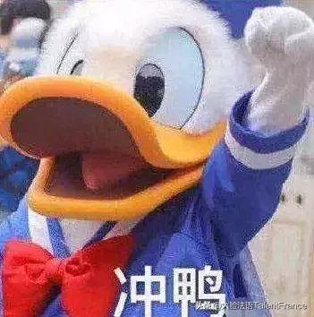 我在国内双11，你只能在法国看着我双11