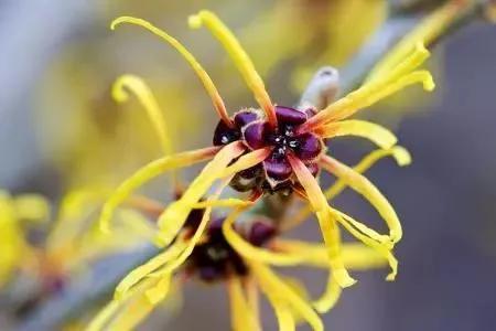 医美收毛孔价格表,医美收毛孔效果