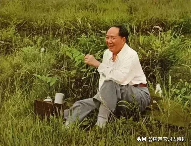 最能代表毛*东泽**人生的四首诗词,至情至性,大气磅礴!