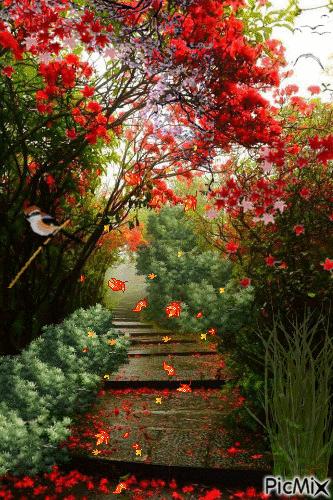 我的家庭相册视频教程,我的家庭相册细节