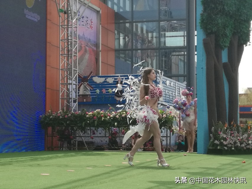 荷兰花海花艺节,荷兰花海国际花艺