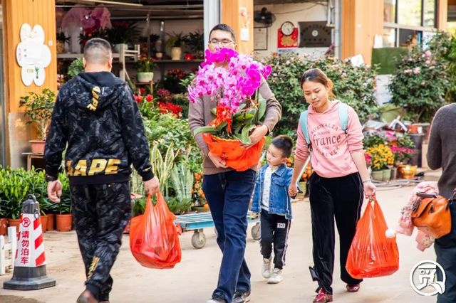 深圳花店有什么花,深圳龙华花店订花送花