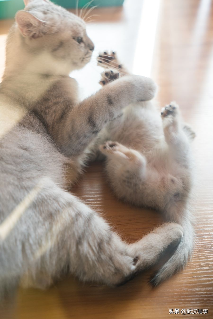 壹方北馆游玩攻略,壹方北馆儿童乐园游玩攻略