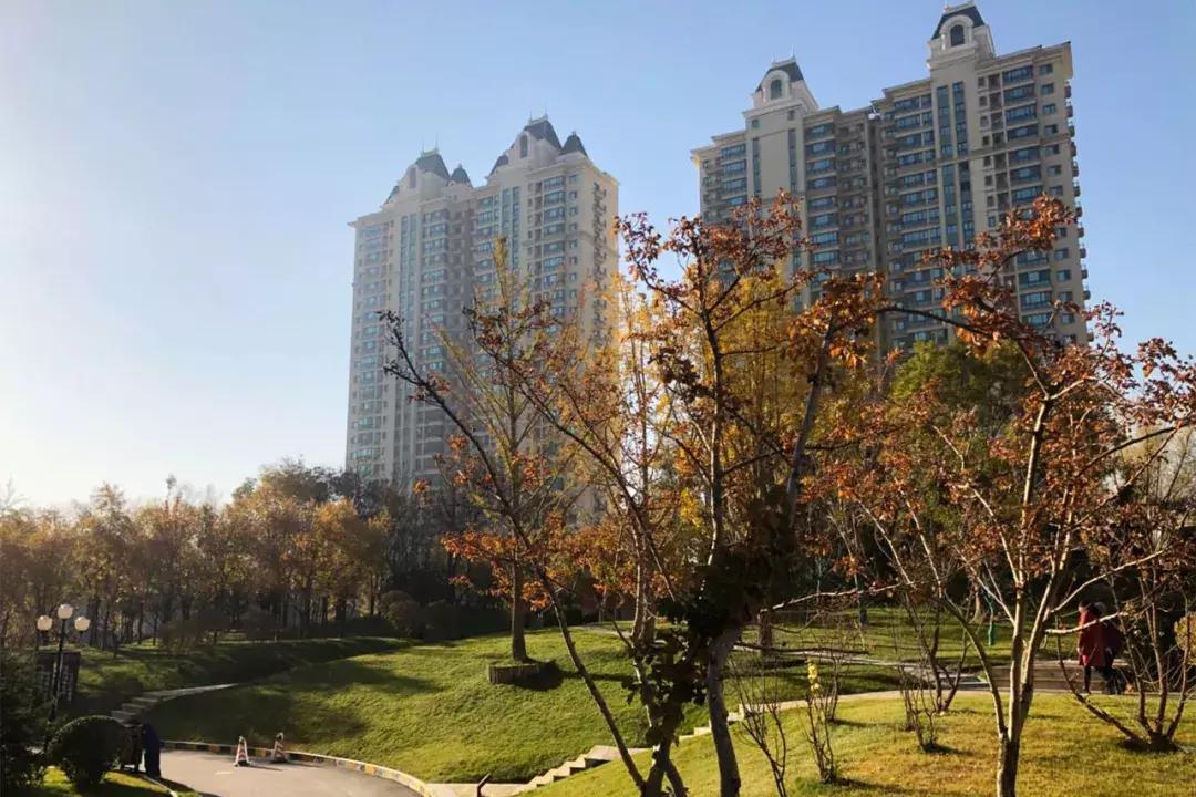 临安买房血泪史,在视高买房的血泪史