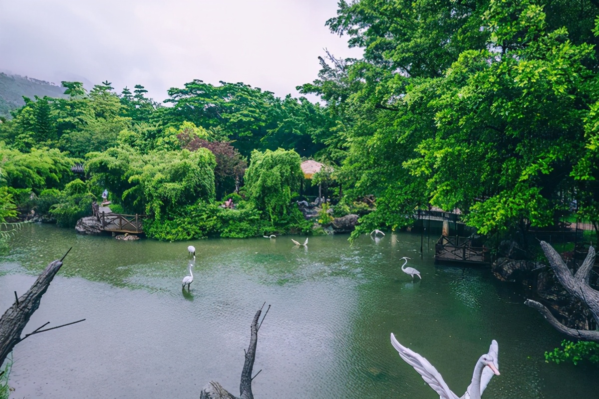 世界最顶级的温泉酒店,最高端的温泉酒店带独立温泉池