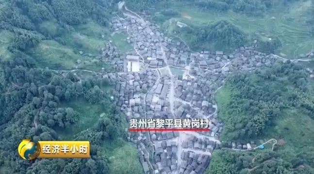 种田不用化肥农药,种田不用肥料