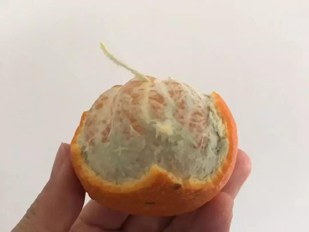 柑橘知识科普,柑桔知识