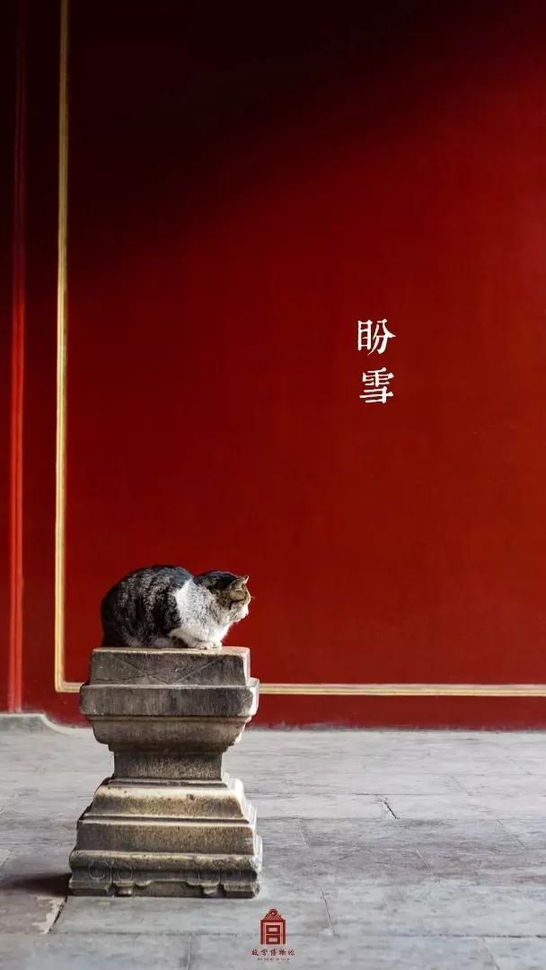 戏精博物馆文物,博物馆戏精文物