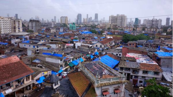 在聚众喝牛尿之后，印度宣布牛粪牛尿疗法进入临床试验阶段