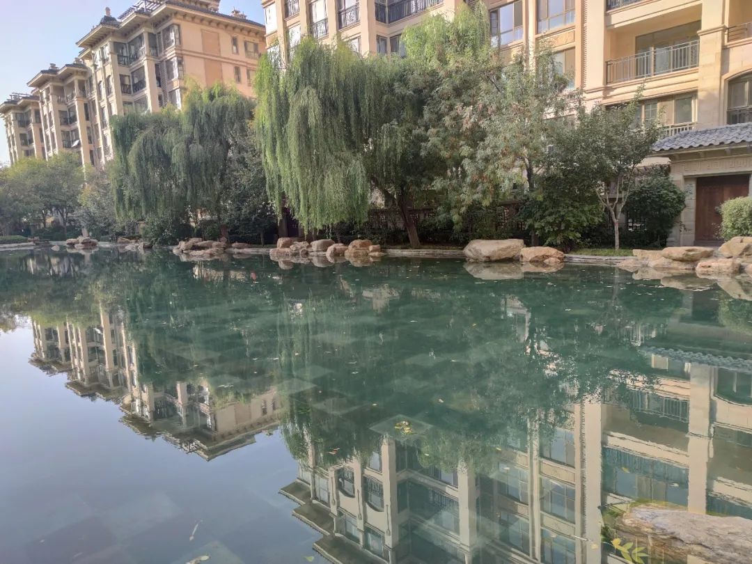 石家庄高新区最值得买的盘,实探一线湖景房