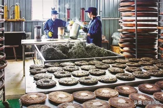 老白茶入口发酸是怎么回事,白茶发酸是什么茶