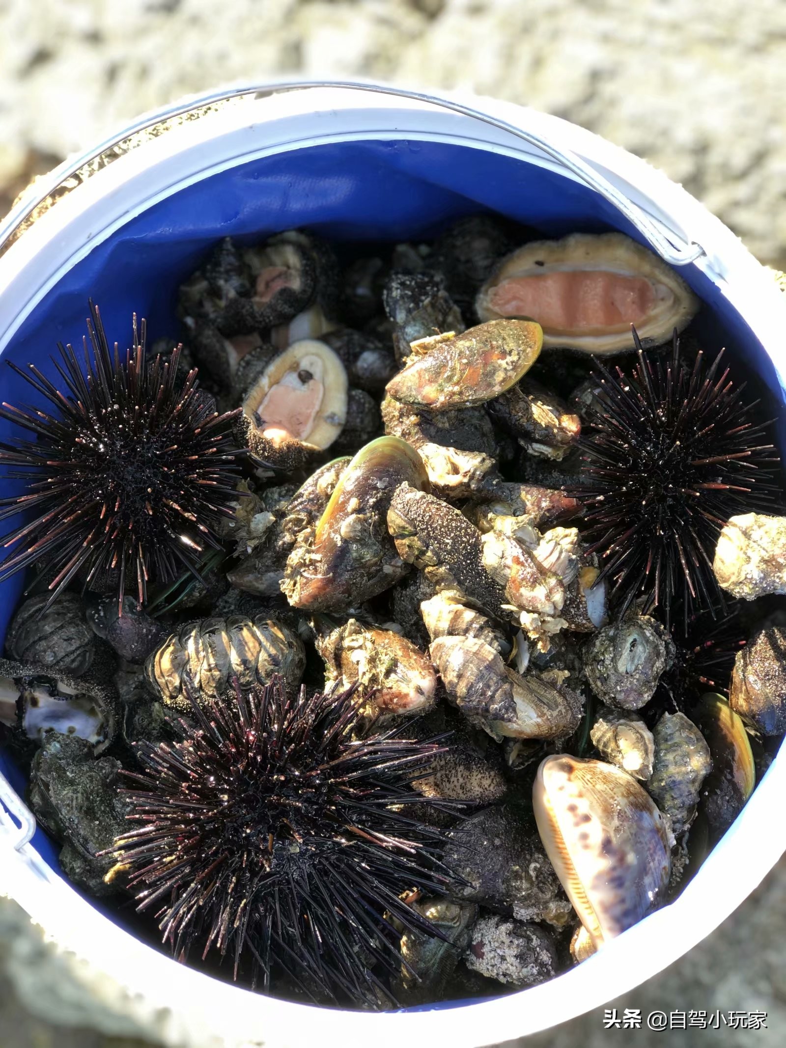 深圳附近很小众地方,深圳大鹏小众旅游景点